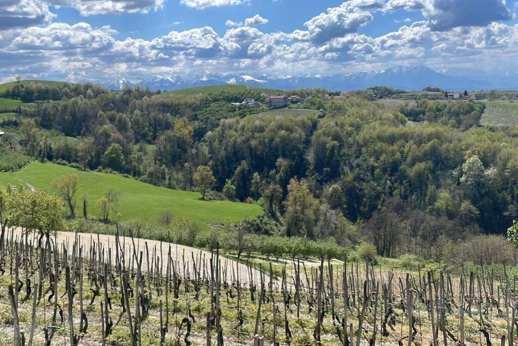 Villa Spicchio Di Langa - Casa Indipendente Tra Le Vigne E Le Alpi à Belvedere Langhe Extérieur photo